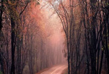 破茧成蝶：金牌之梦，他已蓄势待发