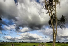 泳坛新星璀璨绽放，破浪之姿剑指巅峰！