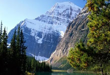 泳坛新星璀璨绽放，破浪之姿剑指巅峰！