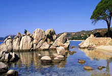 枪响惊世，荣耀加冕！英国射击军团，三度铸就金牌传奇！