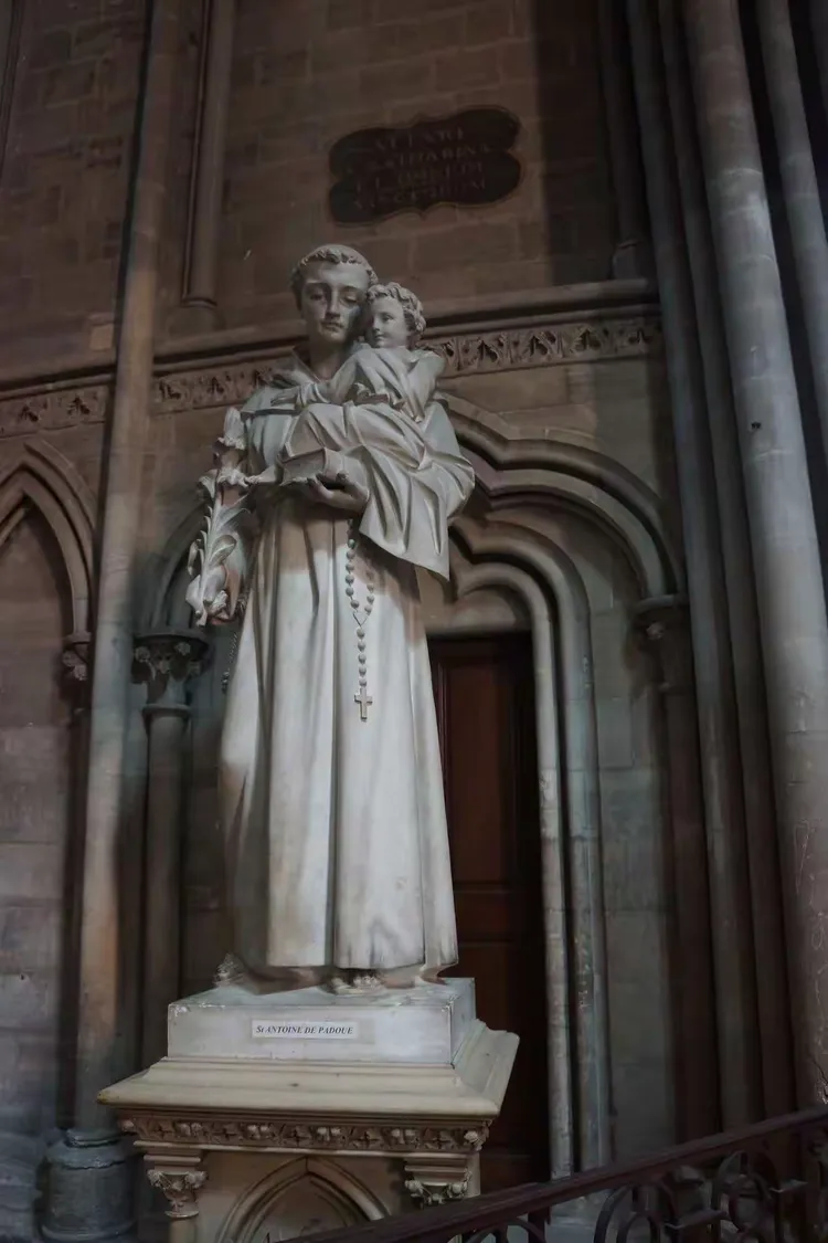 关于比利时运动员光荣登顶,成就辉煌的信息 关于比利时运动员光荣登顶,成就辉煌的信息