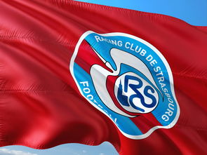 爱游戏官网入口-帕尔梅拉斯训练基地开放，备战世俱杯进入冲刺阶段