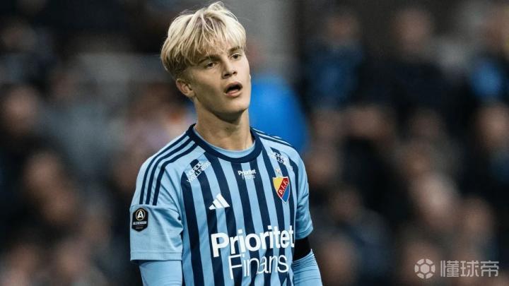 爱游戏入口-瑞典中场表现出色，助利兹联首胜