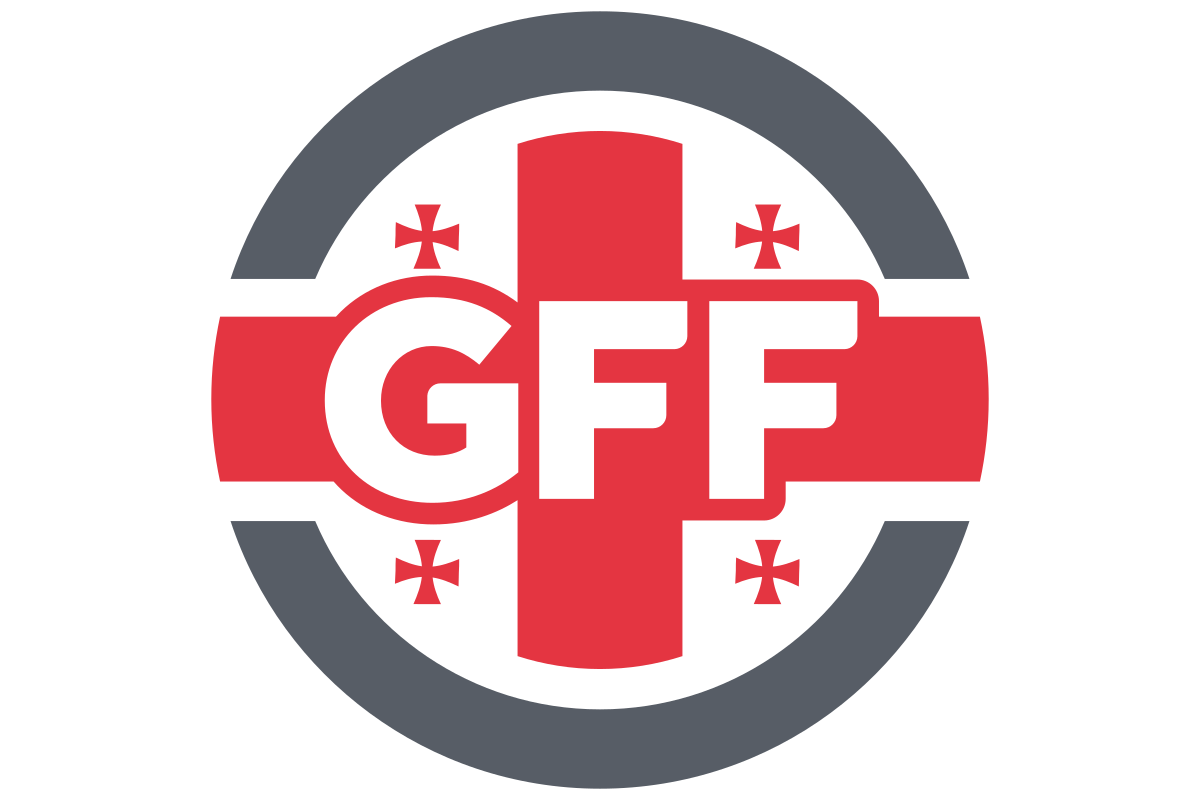 爱游戏官网网页版入口-格鲁吉亚队斩获胜利，正名实力