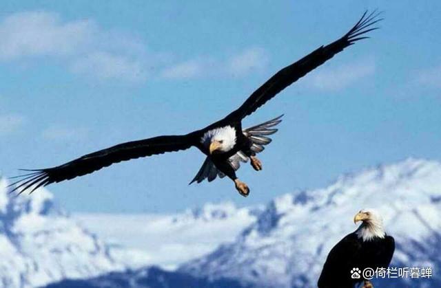 瑞士代表团壮气凌云,完美诠释团结力量 瑞士代表团壮气凌云,完美诠释团结力量